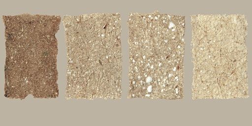 Organic Paper Making | Impressions Gallery