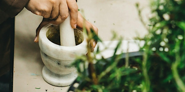 Outlander Herbalism | The Wynd (above Balgonie Kilts)