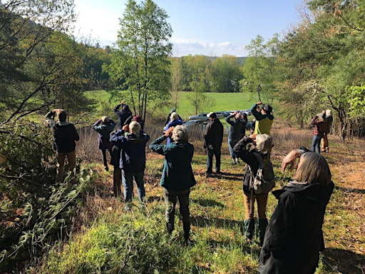 Spring Bird Walk at Whetstone Woods | Whetstone Woods
