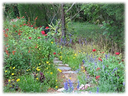 Florida-Friendly Gardening for Pollinators | Palma Sola Botanical Park