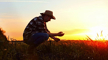 Beyond Fertilizer as Usual | 833075 Range Rd 123