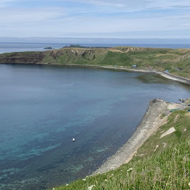 北海道　花の島　礼文島