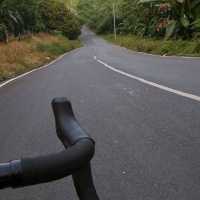 wisata bumi Kedaton