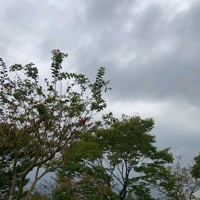 가을이 시작하는 곳, 을숙도