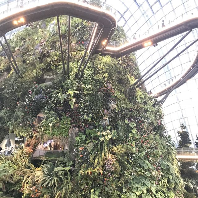 新加坡🇸🇬Marina Bay溫室🌸🌼花迷必去