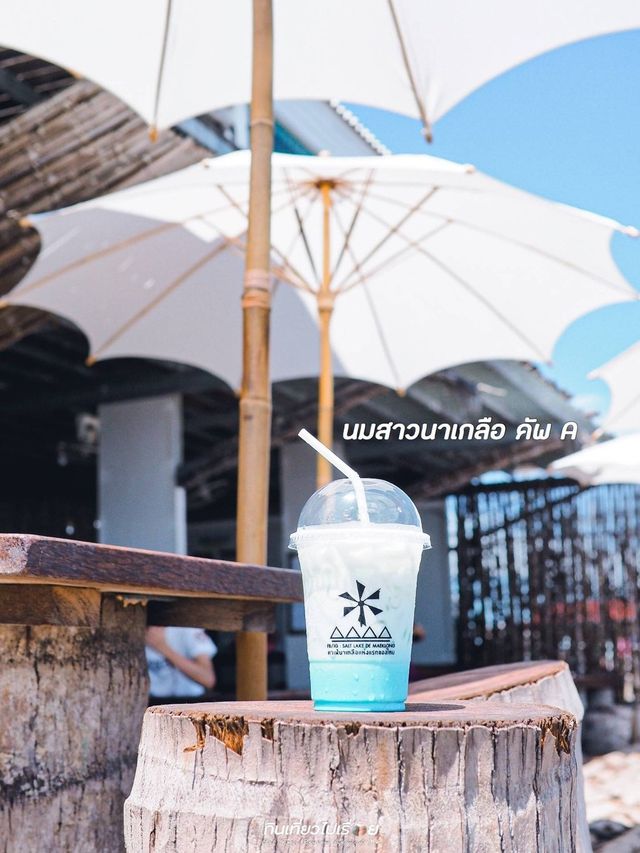 คาเฟ่นาเกลือแห่งแรกของไทย อะไรๆก็เป็นเกลือไปหมด🧊☀