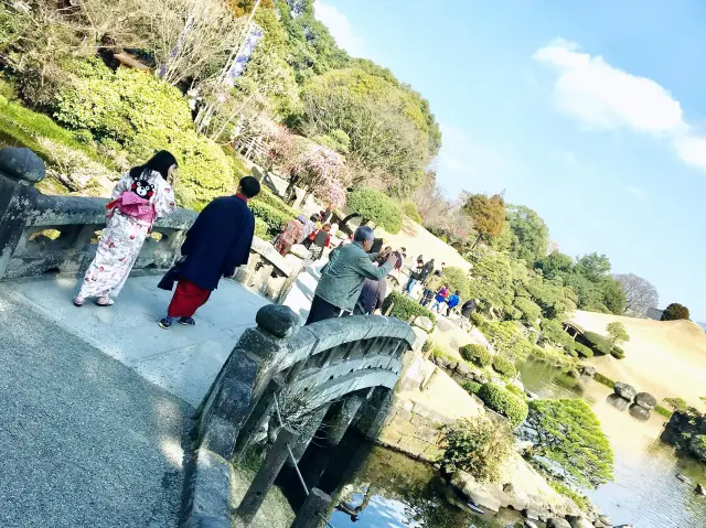 【熊本】水前寺公園で枝垂れ桜を鑑賞