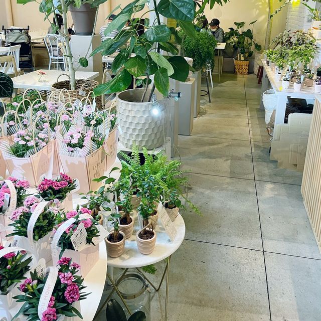 【大阪】天王寺　てんしばカフェ　スプーンビル天王寺🌳✨