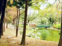 青衣公園