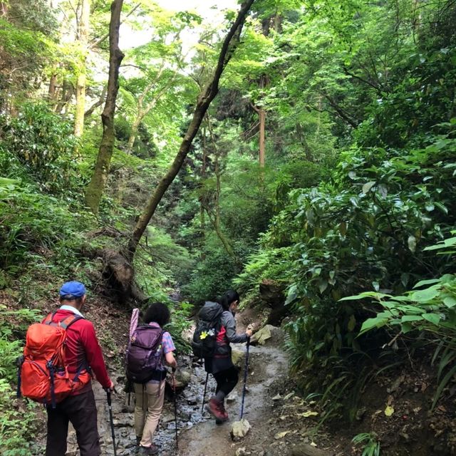 高尾山に行ってきました！