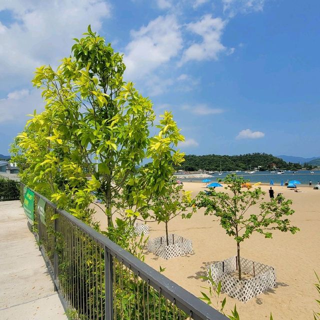 無敵海景 ～ 大埔龍尾泳灘 
