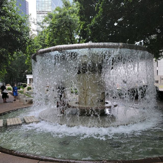 香港的城市綠洲🏕🏖