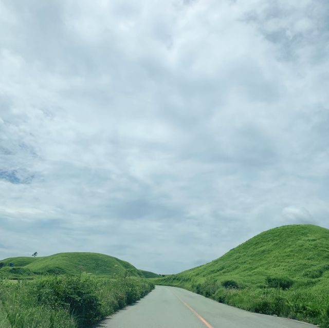 【熊本県】草千里が一望できるレストランでランチを楽しむ！