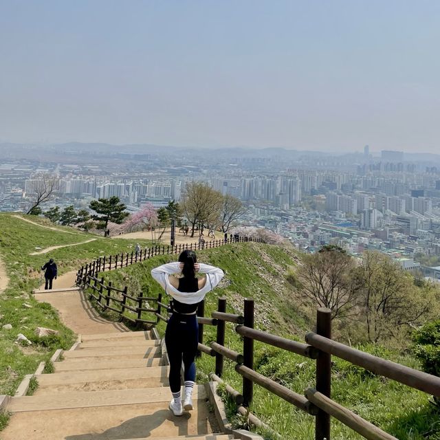오를수록 보이는 풍경이 너무 예쁜 인천 <계양산>