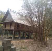 Take a visit Pha Tad Ke Botanical Garden 