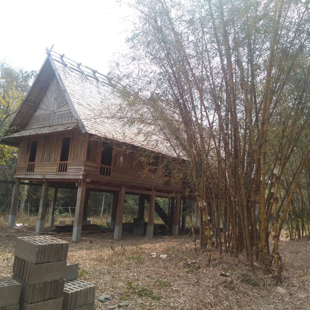 Take a visit Pha Tad Ke Botanical Garden 