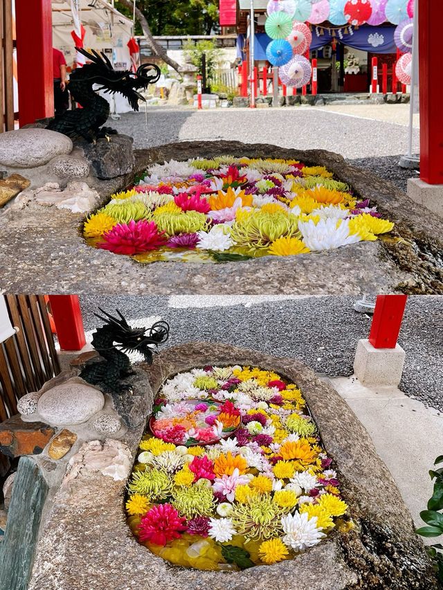 「社寺人気ランキング」で全国1位の神社は名古屋にありました。