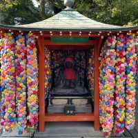 【京都府】カラフルで可愛い神社を参拝！