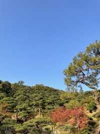 서울 근교 단풍 명소 추천:: 곤지암 화담숲