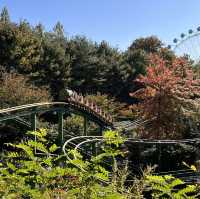 韓国【エバーランド】テーマパークで愉しむ韓国の秋🍁