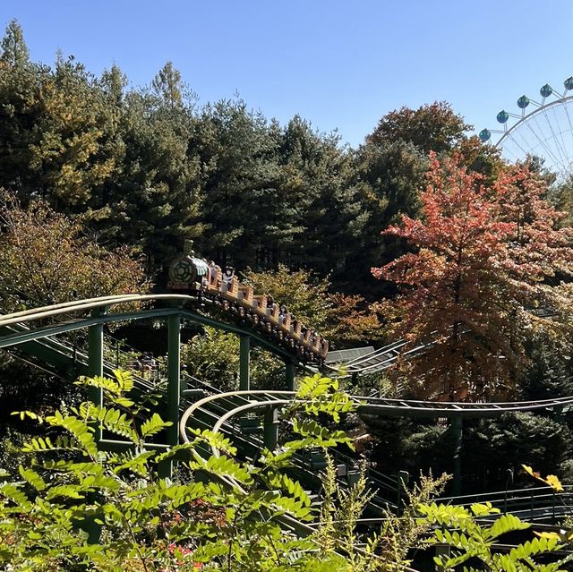 韓国【エバーランド】テーマパークで愉しむ韓国の秋🍁