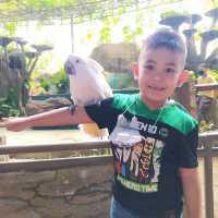 Davao Crocodile Park and Zoo 🐾