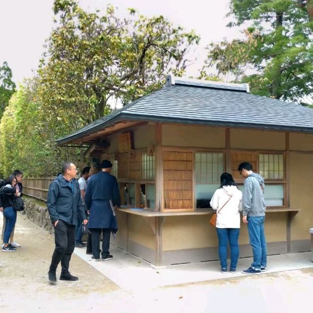 京都銀閣寺