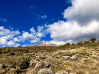 Hiking up Kilimanjaro & Safari