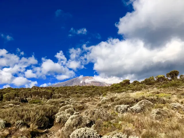 Hiking up Kilimanjaro & Safari