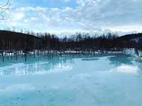 冬天下北海道美瑛青池，白鬚瀑布❄️☃️