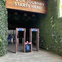 Cebu Ocean Park Moments!