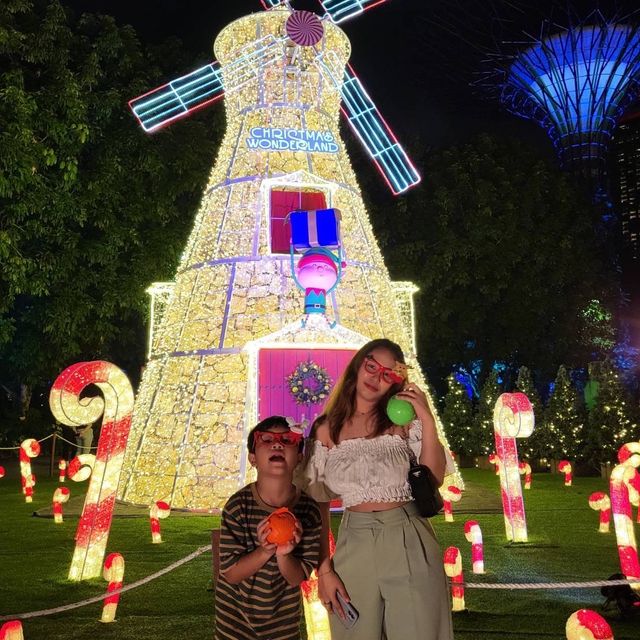 Garden by the bay #Christmas Wonderland