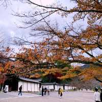 京都紅葉2022  醍醐寺の紅葉に感動