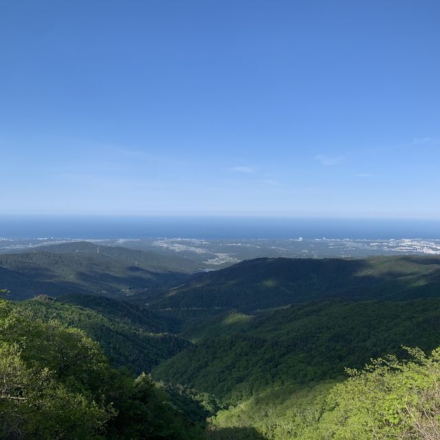 목장! 바로여기 대관령