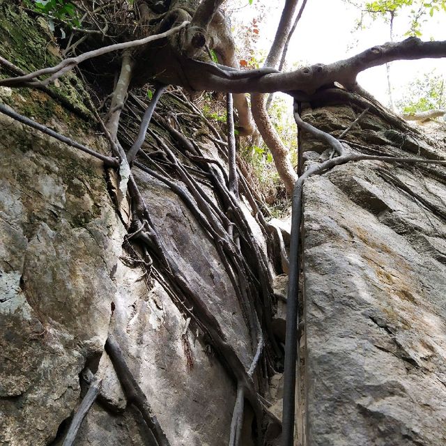 隱世秘景-天書壁 隱世秘景-天書壁