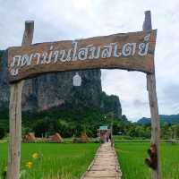 ภูผาม่านโฮมสเตย์ ที่พักกลางทุ่งนา วิวหลักล้าน