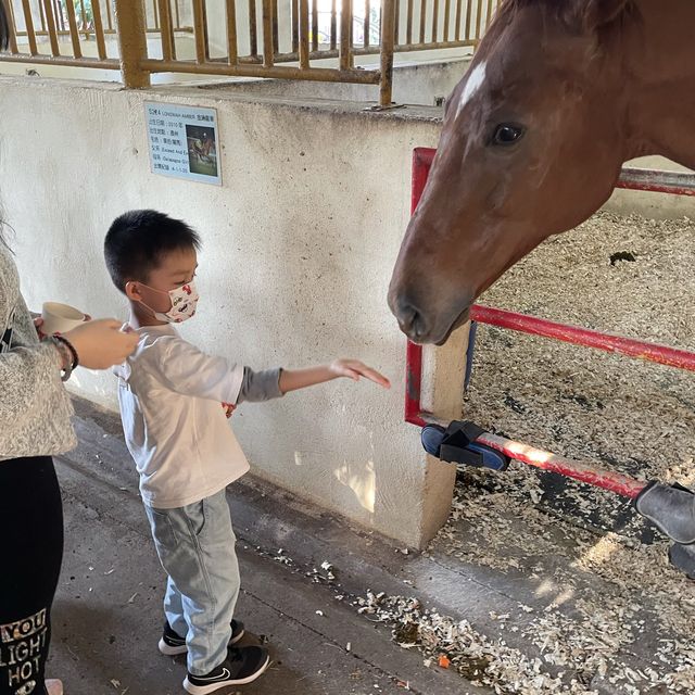 【 餵小動物的有機生態園 】