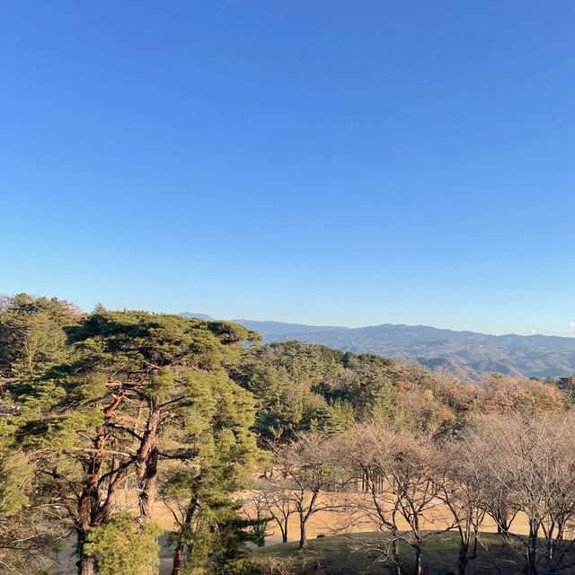 【修善寺】露天風呂付き客室からの眺めが最高。