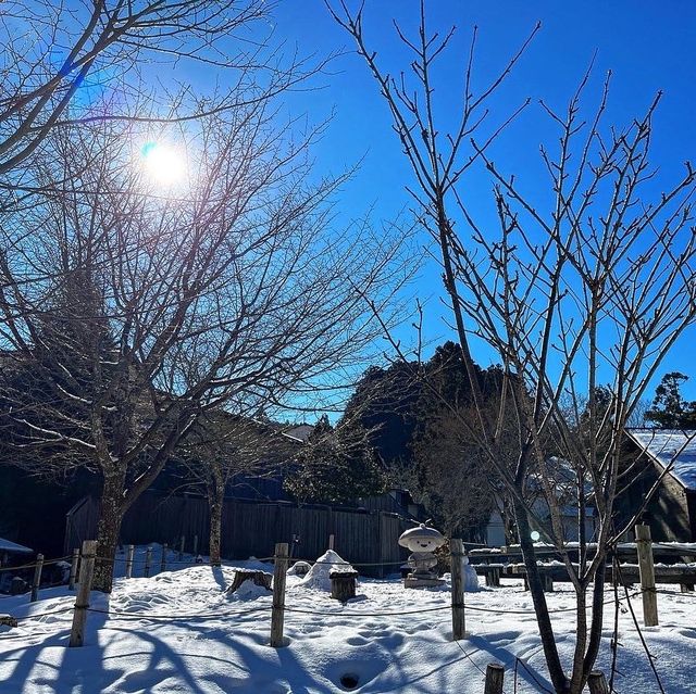 人生一度は世界遺産【高野山】へ