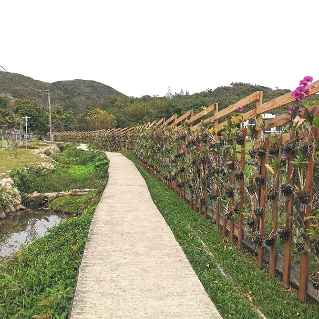 白腊村