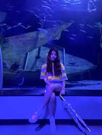 해운대에서 가볼만한 곳, 씨라이프 아쿠아리움🐠