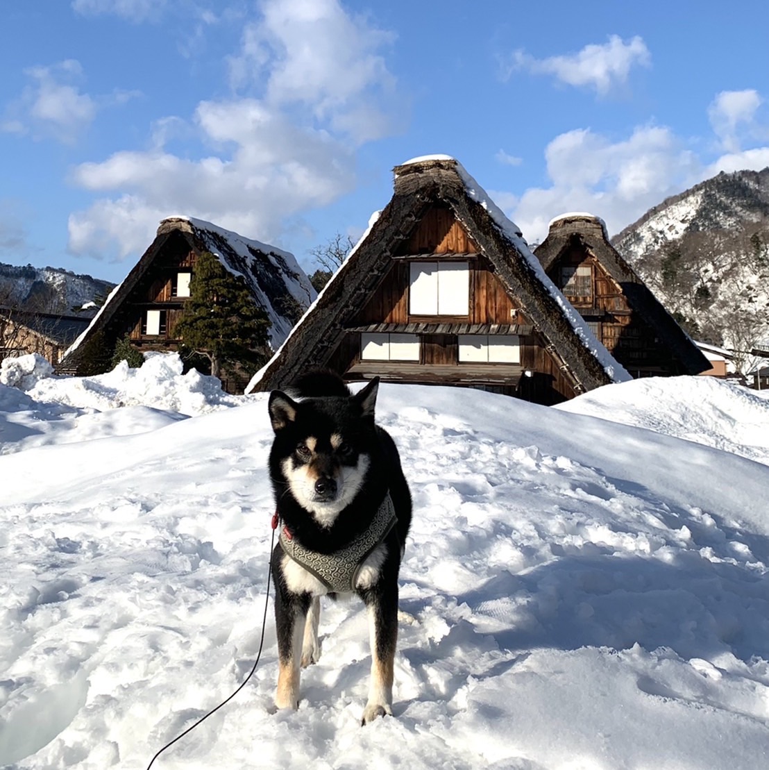 Tripメモリーで 合掌造りをチェック Trip Comトラベルガイド