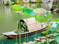 城門谷公園荷花池