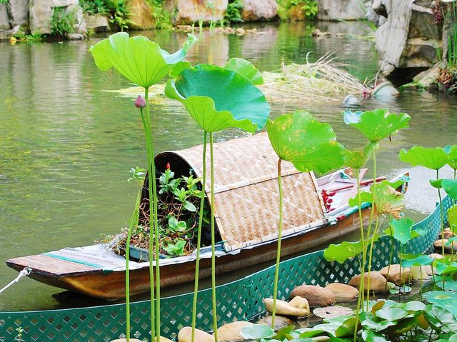 城門谷公園荷花池