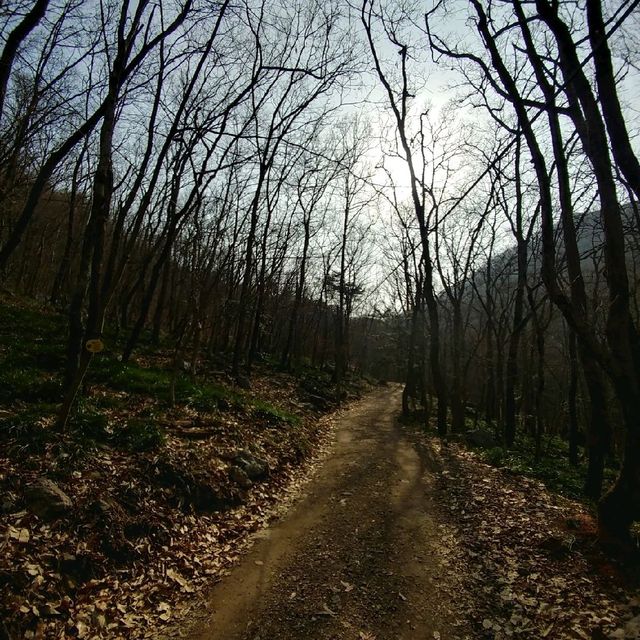 영광 불갑산 등산