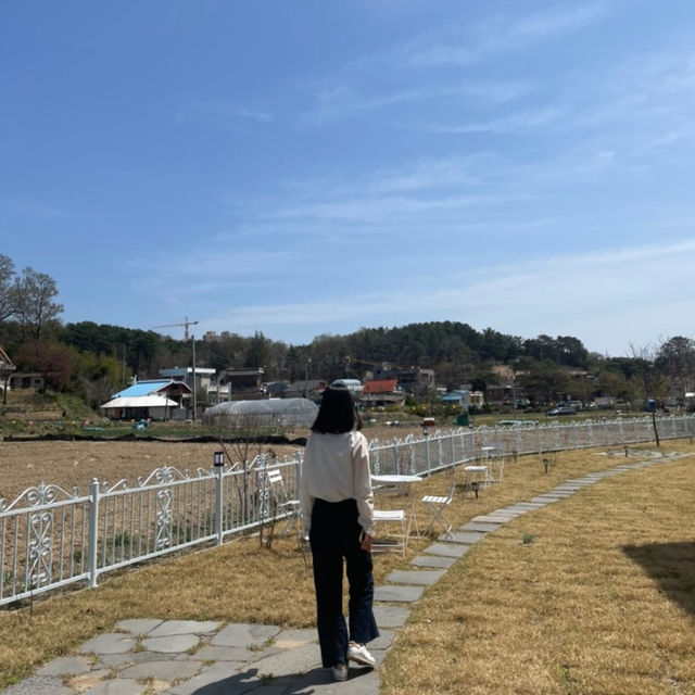 대전 대형카페 팰리쓰
