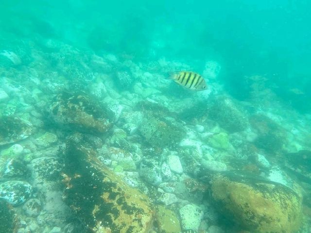 天池綠蛋島🏝️