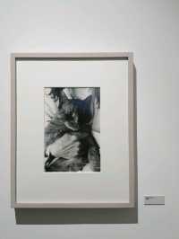 피크닉 전시관에서 관람하는 사울레이터 (Saul Leiter)
