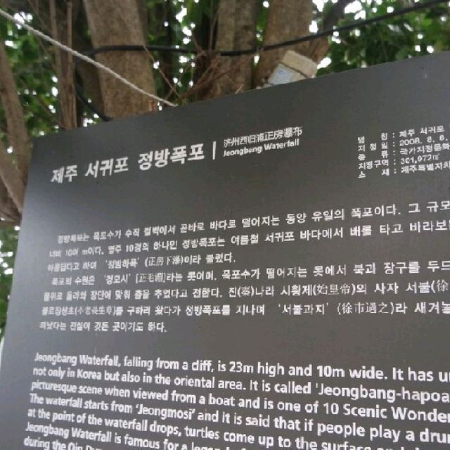 시원시원한 제주도 정방폭포