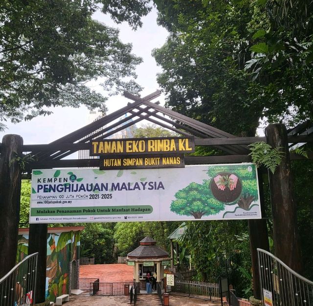 Sweating at Taman Eko Rimba KL | Trip.com Kuala Lumpur